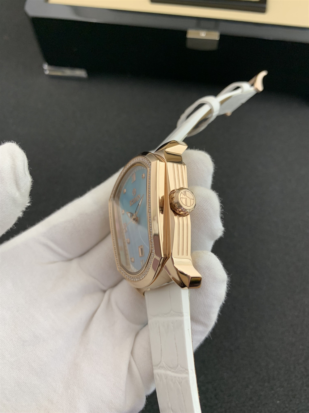 顶级豪华新设计的珍珠贝壳
