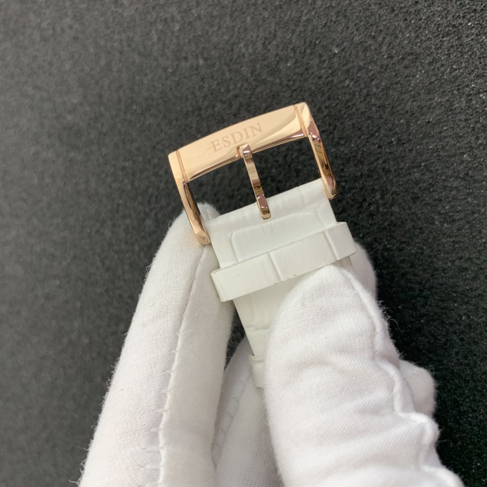 顶级豪华新设计的珍珠贝壳