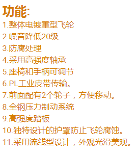 2020维万斯塔专业磁性静音健身自行车