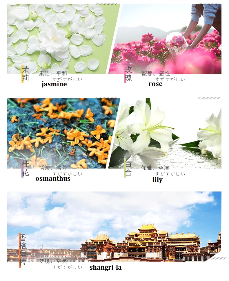 Sell 50 ml liquid elegant style home perfume