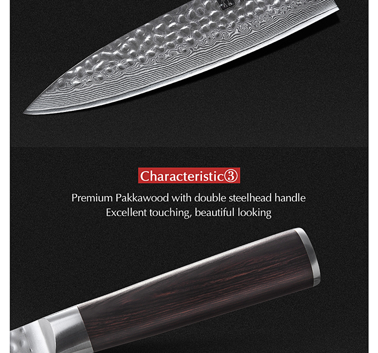 8 inch Professional Southeast Asian Damascus table knife
