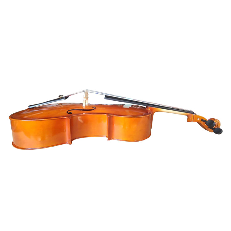 Exam handwork bright popularizing African cello