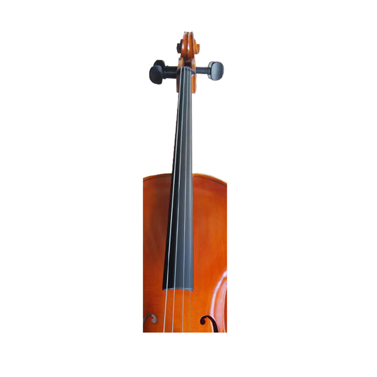 Exam handwork bright popularizing African cello