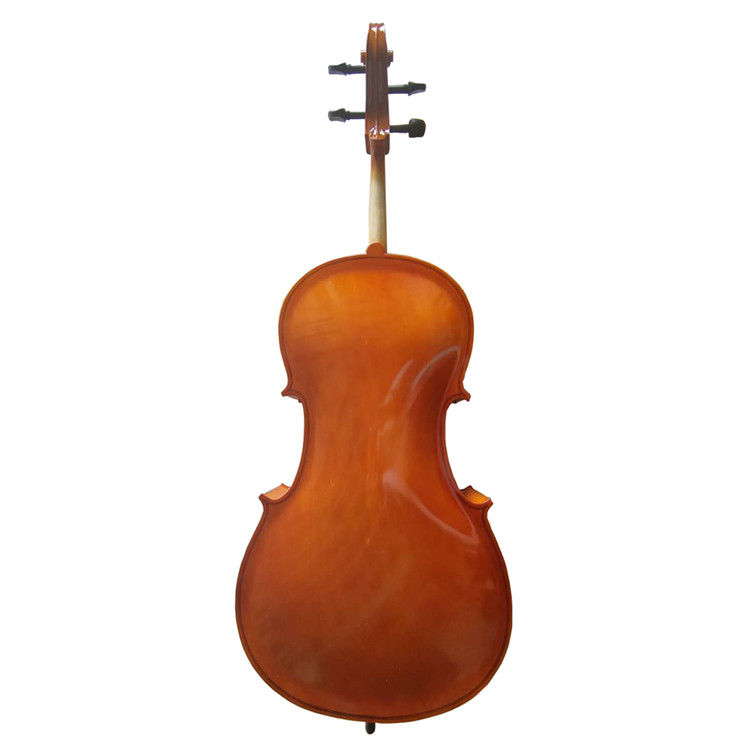 Exam handwork bright popularizing African cello