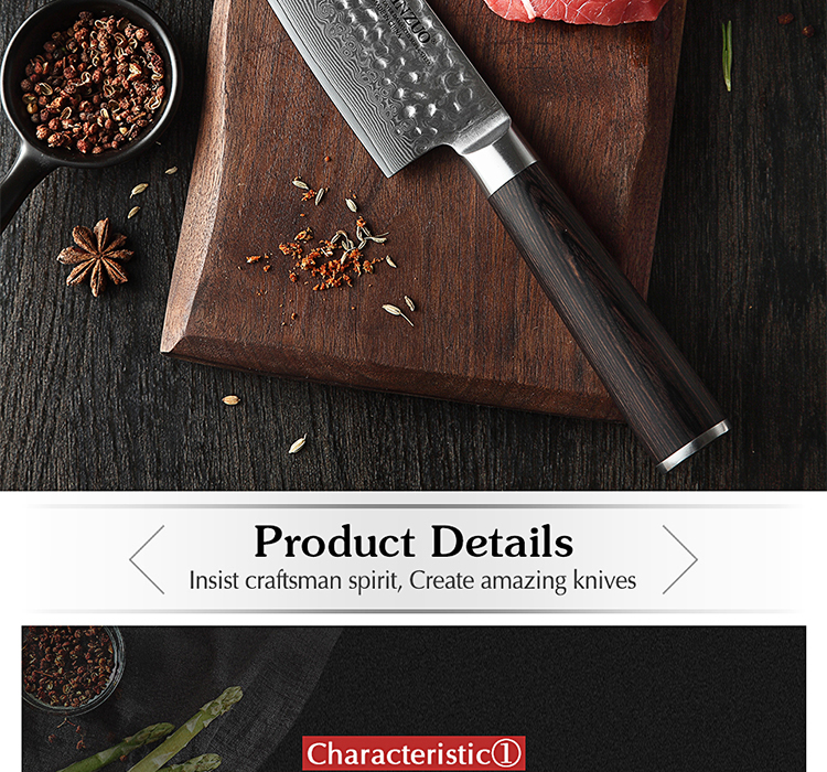 8 inch Professional Southeast Asian Damascus table knife