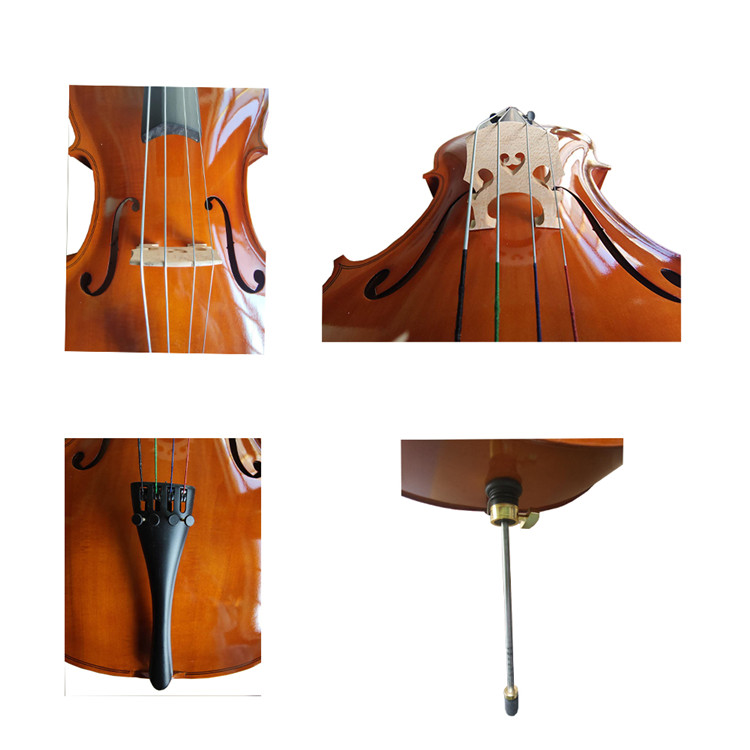 Exam handwork bright popularizing African cello