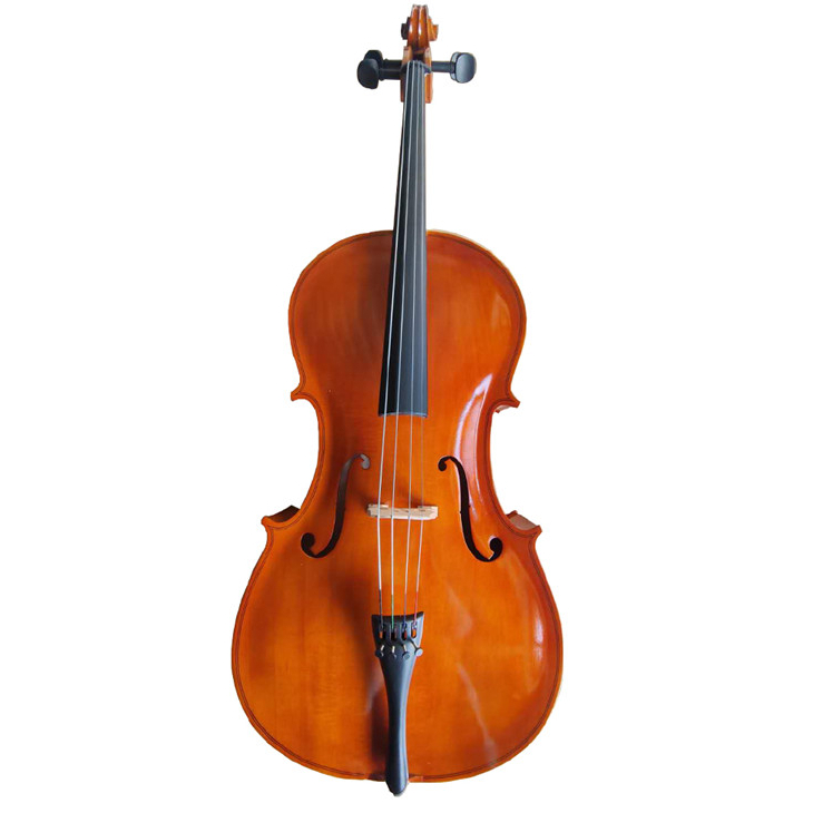 Exam handwork bright popularizing African cello
