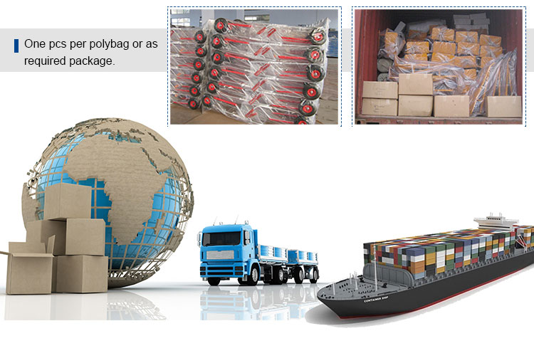 Wholesale co