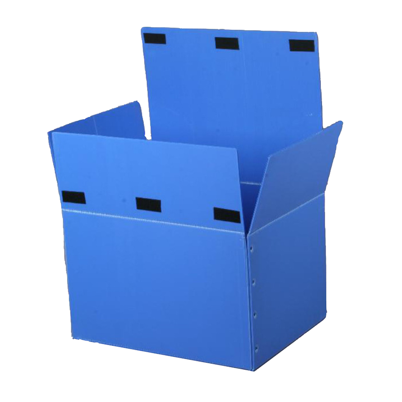 Corriboard C