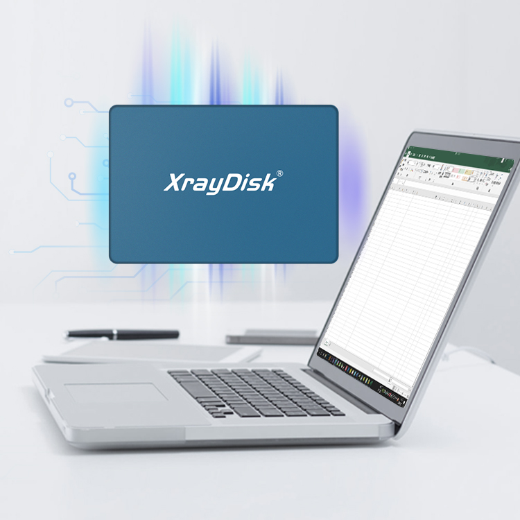 Xraydisk ssd