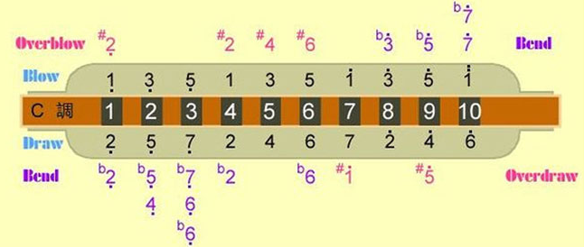 孔布鲁斯全音阶口琴