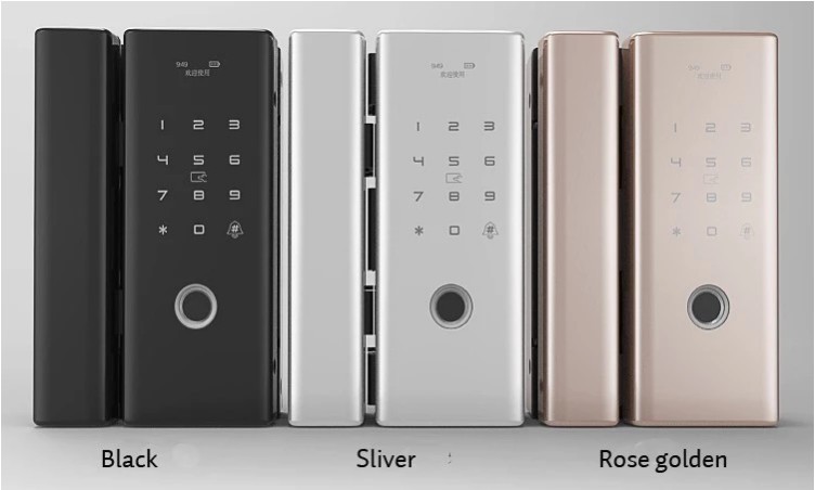 Password radio frequency card remote control mechanical key digital keypad frameless glass door lock