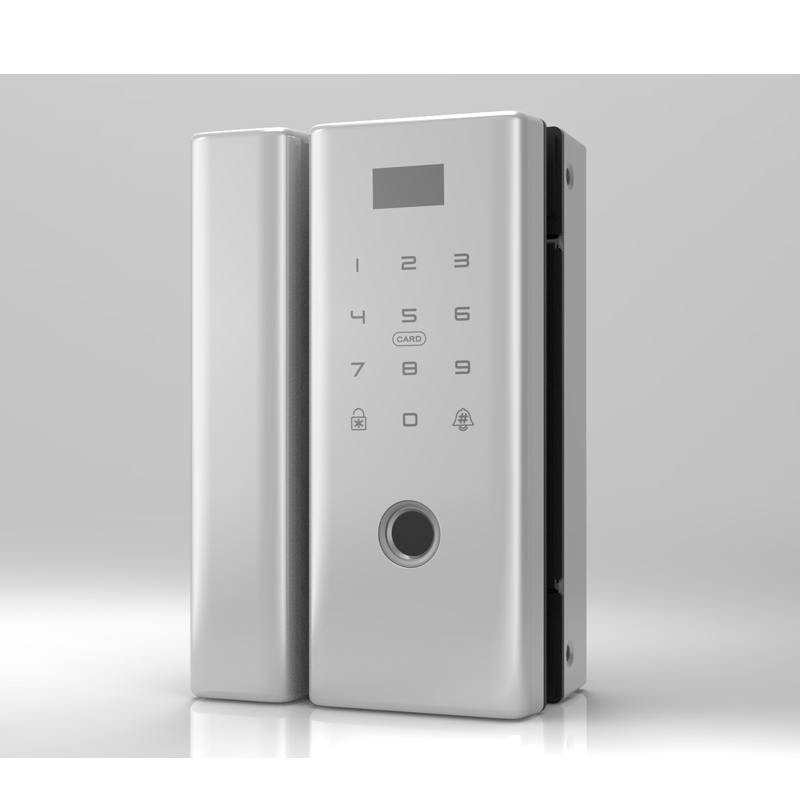 Password radio frequency card remote control mechanical key digital keypad frameless glass door lock
