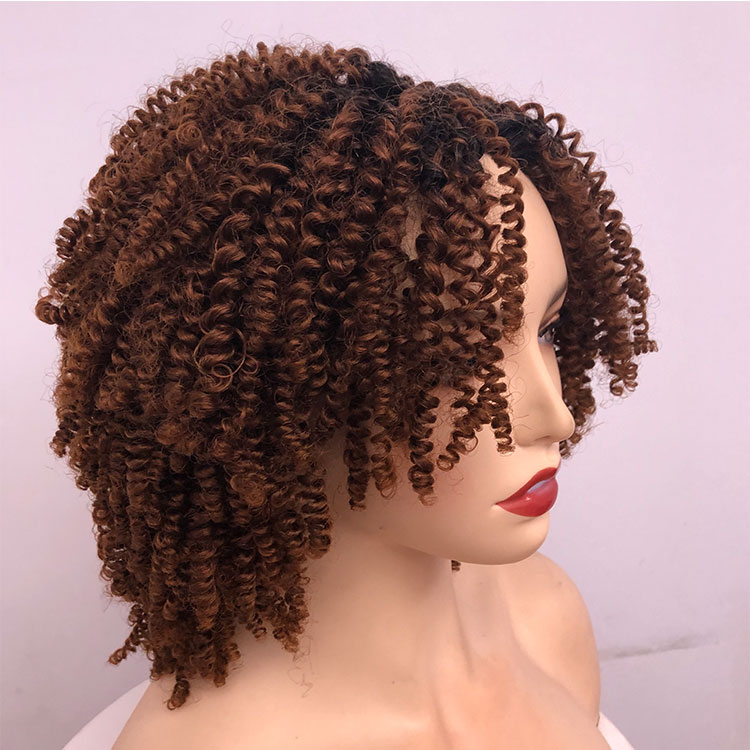 Fairyland Hair Ombre Brown Dark Root Bob Wig Synthetic Medium Long Jerry Curly Cheap Wigs For African American Women