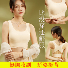 5双盒装纯棉女士中筒袜子纯色冰激凌色彩棉吸汗棉袜子女秋冬