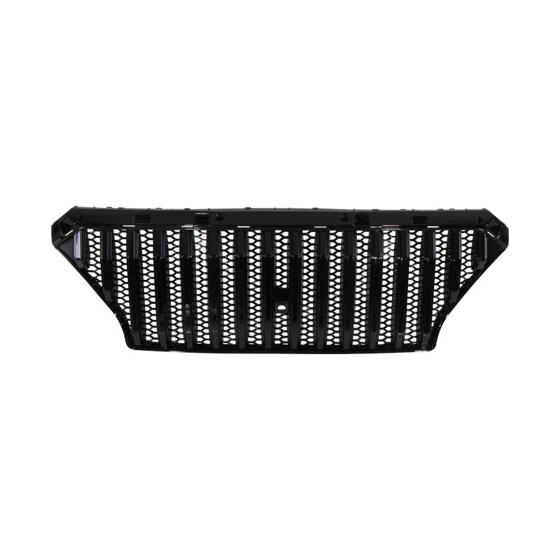 Accessories for the front grille of Hyundai Santa Fe 2019-2020