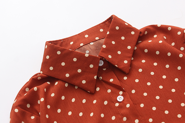 Europe and the United States during the spring and autumn dot printing easy leisure ladies shirts