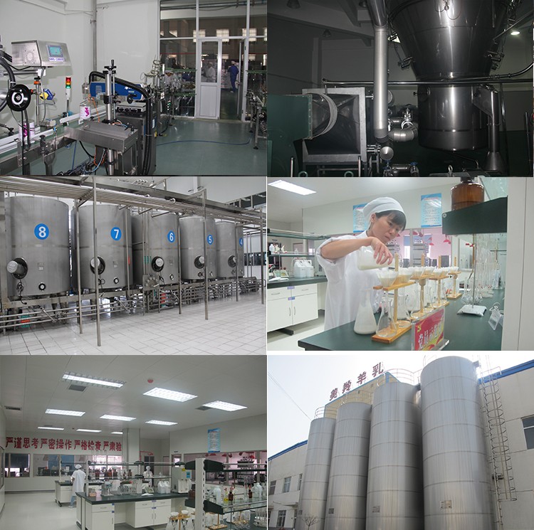High quality Halal dry 800g in 3 stages (12-36 months) baby formulations Sheep milk powder